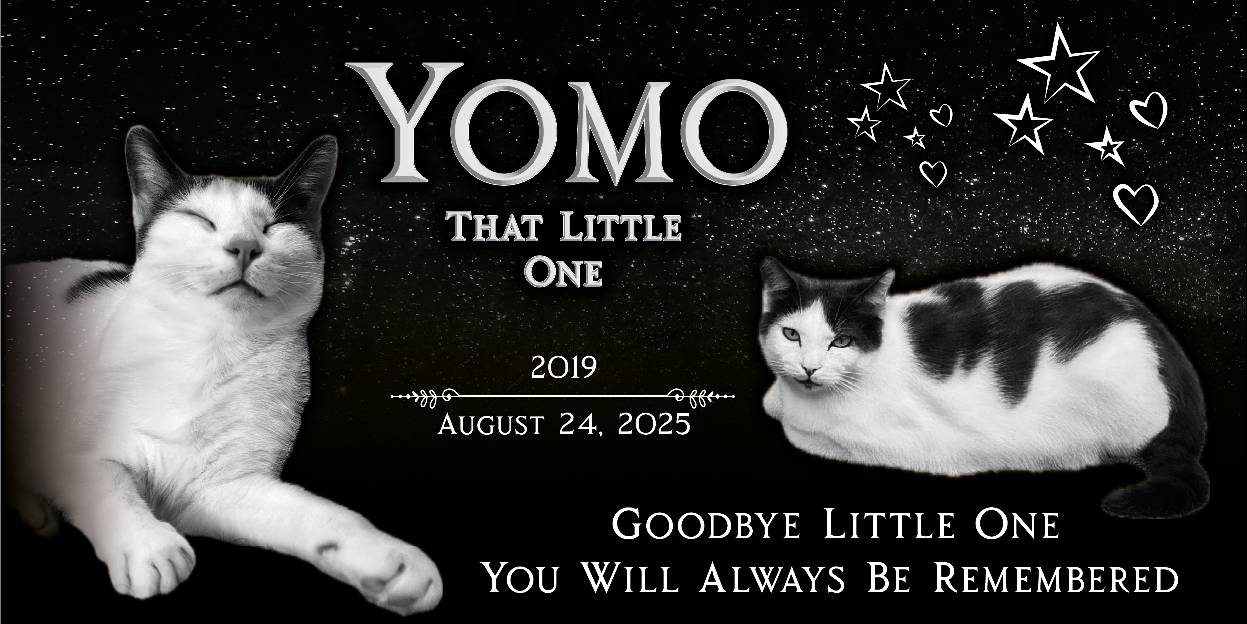 Cat Headstone Black Granite Flat Memorial Grave Marker