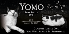 Cat Headstone Black Granite Flat Memorial Grave Marker